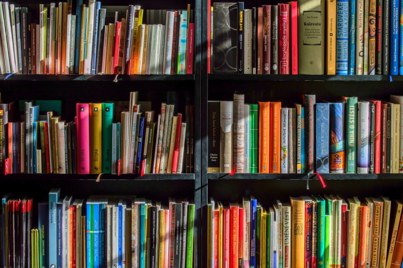 vente-ST RAPHAEL-min_books_bookstore_book_reading_shop_writer_sale_books_read-822866